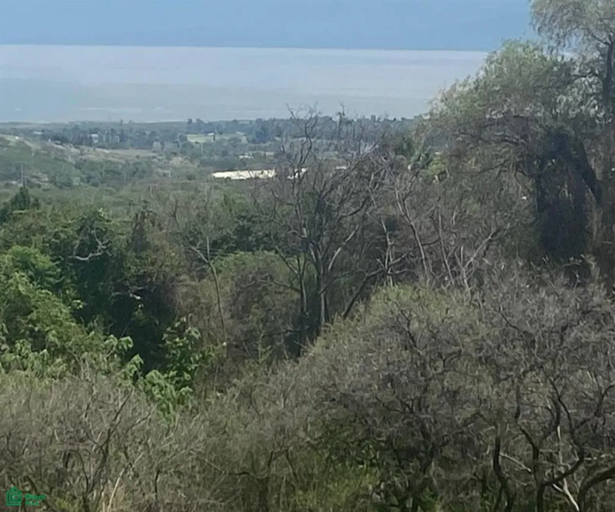 Terreno En Venta,Chapala Haciendas,AGUILA LOTE 6, MANZANA 11, Chapala, Jalisco 45907,AGUILA,MX24681769