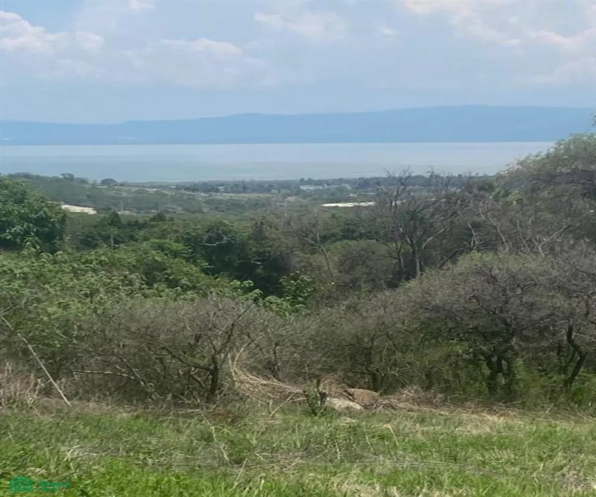 Terreno En Venta,Chapala Haciendas,AGUILA LOTE 6, MANZANA 11, Chapala, Jalisco 45907,AGUILA,MX24681769