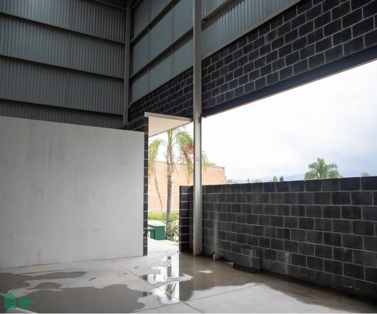 Edificio En Venta,Santa Cruz de la Loma (Tepetates),SANTA CRUZ DE LAS FLORES B4, Tlajomulco de Zuniga, Jalisco 45644,SANTA CRUZ DE LAS FLORES,MX24688785