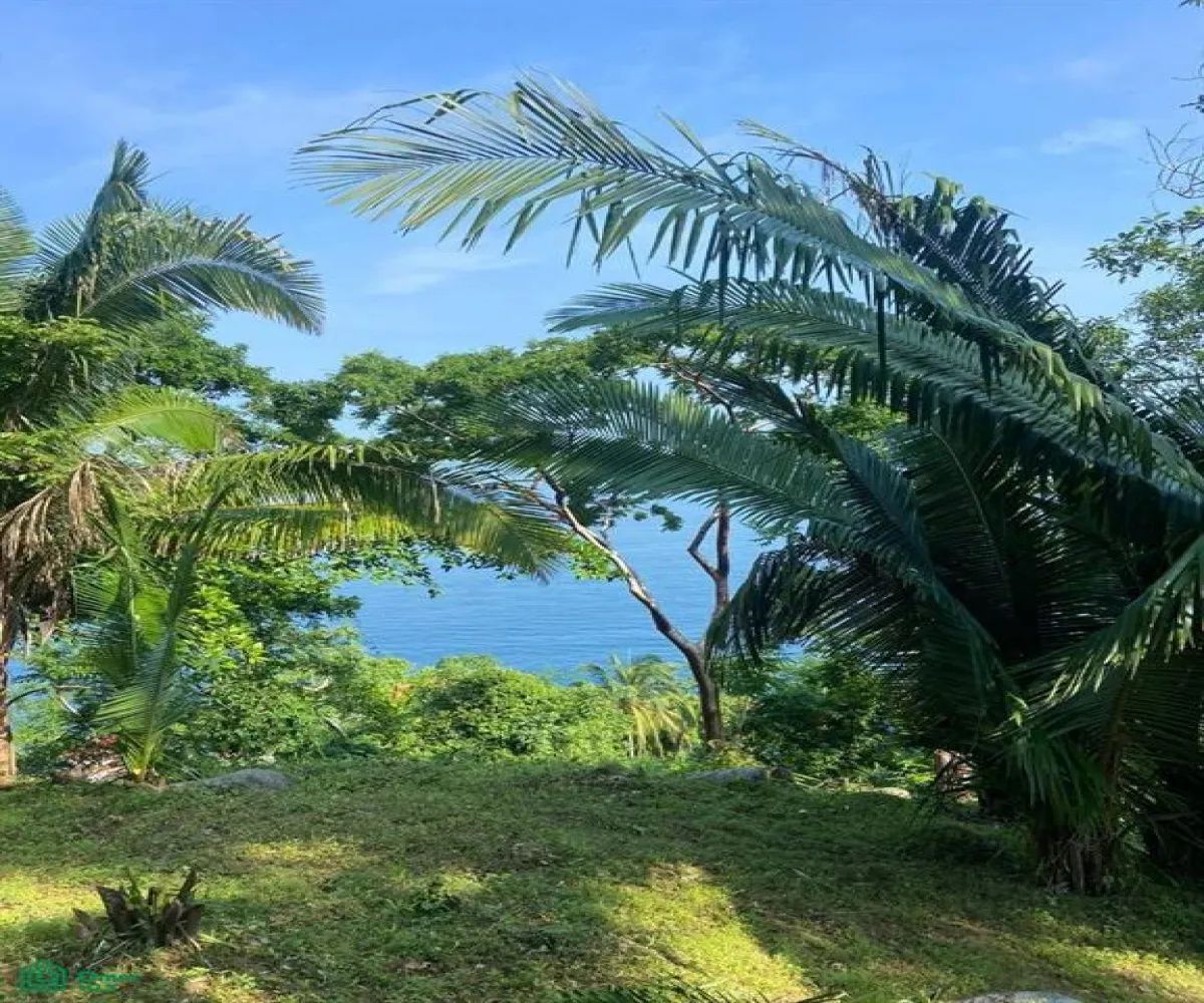 Terreno En Venta,Boca de Tomatlán,Carretera 200, lote #10 y #11 26, Puerto Vallarta, Jalisco 48292,Carretera 200, lote #10 y #11,MX24705404