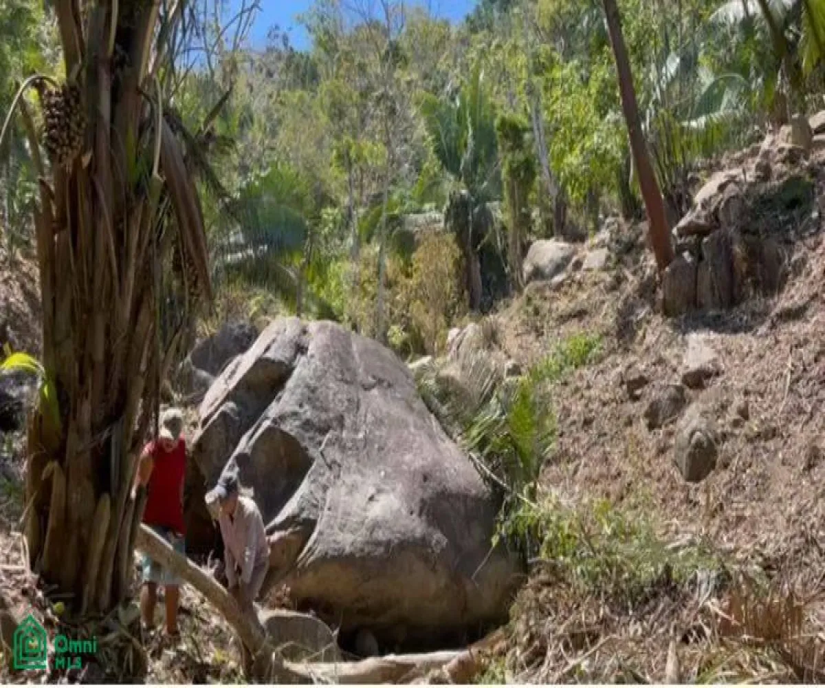 Terreno En Venta,Boca de Tomatlán,Carretera 200, lote #10 y #11 26, Puerto Vallarta, Jalisco 48292,Carretera 200, lote #10 y #11,MX24705404