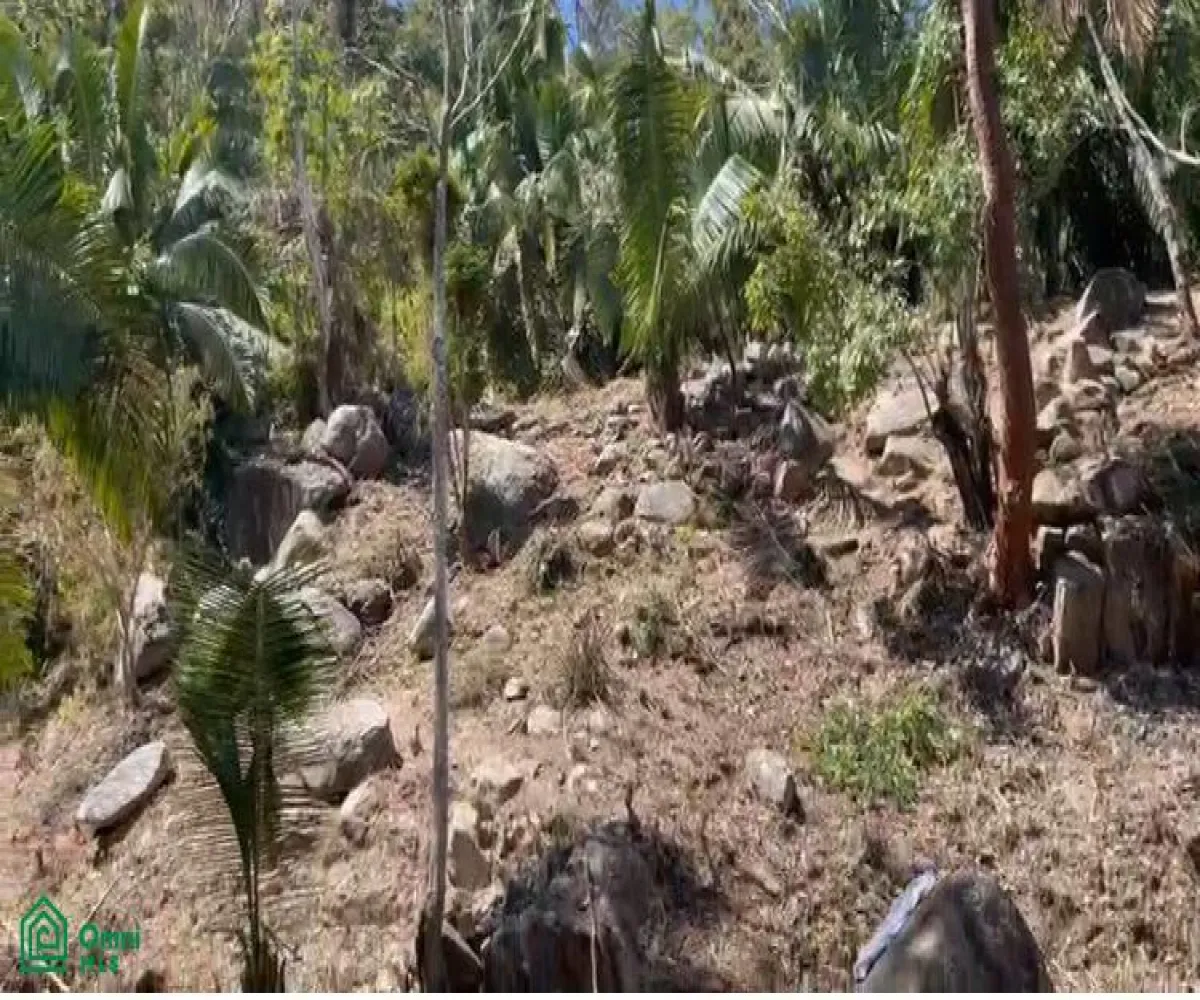 Terreno En Venta,Boca de Tomatlán,Carretera 200, lote #10 y #11 26, Puerto Vallarta, Jalisco 48292,Carretera 200, lote #10 y #11,MX24705404