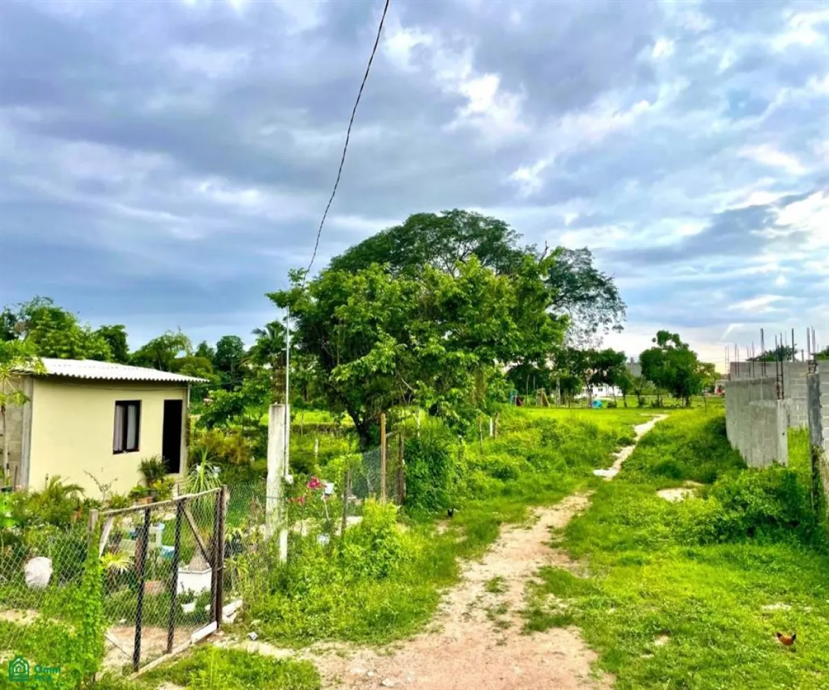 Terreno En Venta,Palma Real,20 de noviembre 0, Puerto Vallarta, Jalisco 48290,20 de noviembre,MX24722905