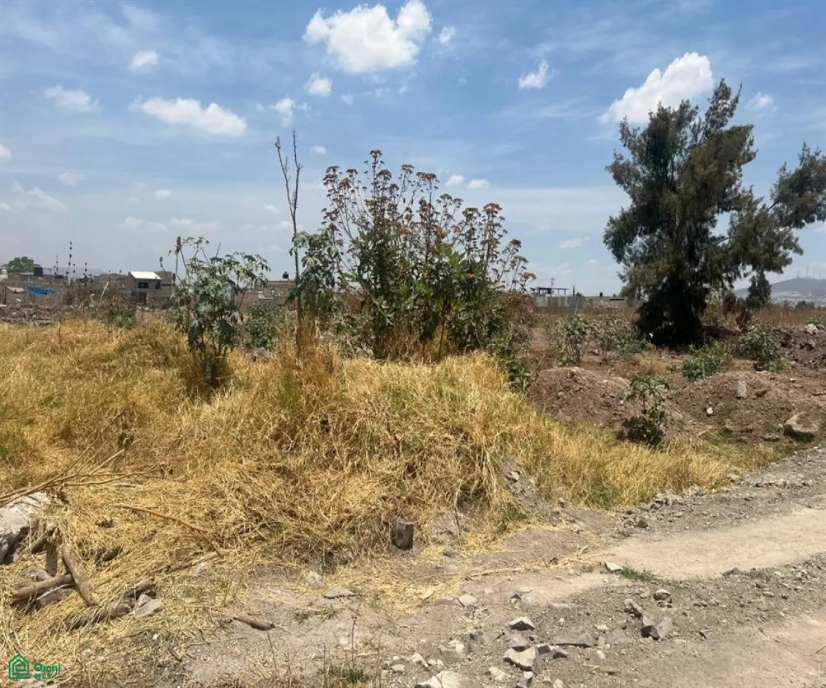 Terreno En Venta,Santa Cruz del Valle,AV. CONCEPCION 5800, Tlajomulco de Zuniga, Jalisco 45655,AV. CONCEPCION,MX25935440