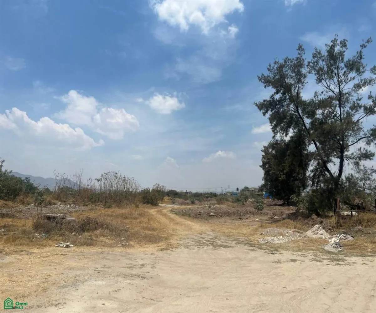 Terreno En Venta,Santa Cruz del Valle,AV. CONCEPCION 5800, Tlajomulco de Zuniga, Jalisco 45655,AV. CONCEPCION,MX25935440