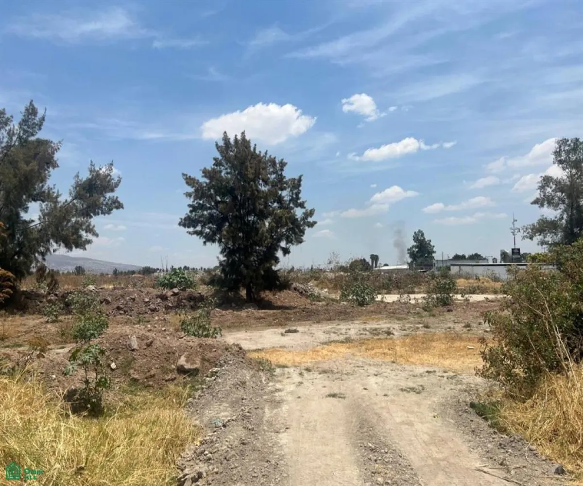 Terreno En Venta,Santa Cruz del Valle,AV. CONCEPCION 5800, Tlajomulco de Zuniga, Jalisco 45655,AV. CONCEPCION,MX25935440