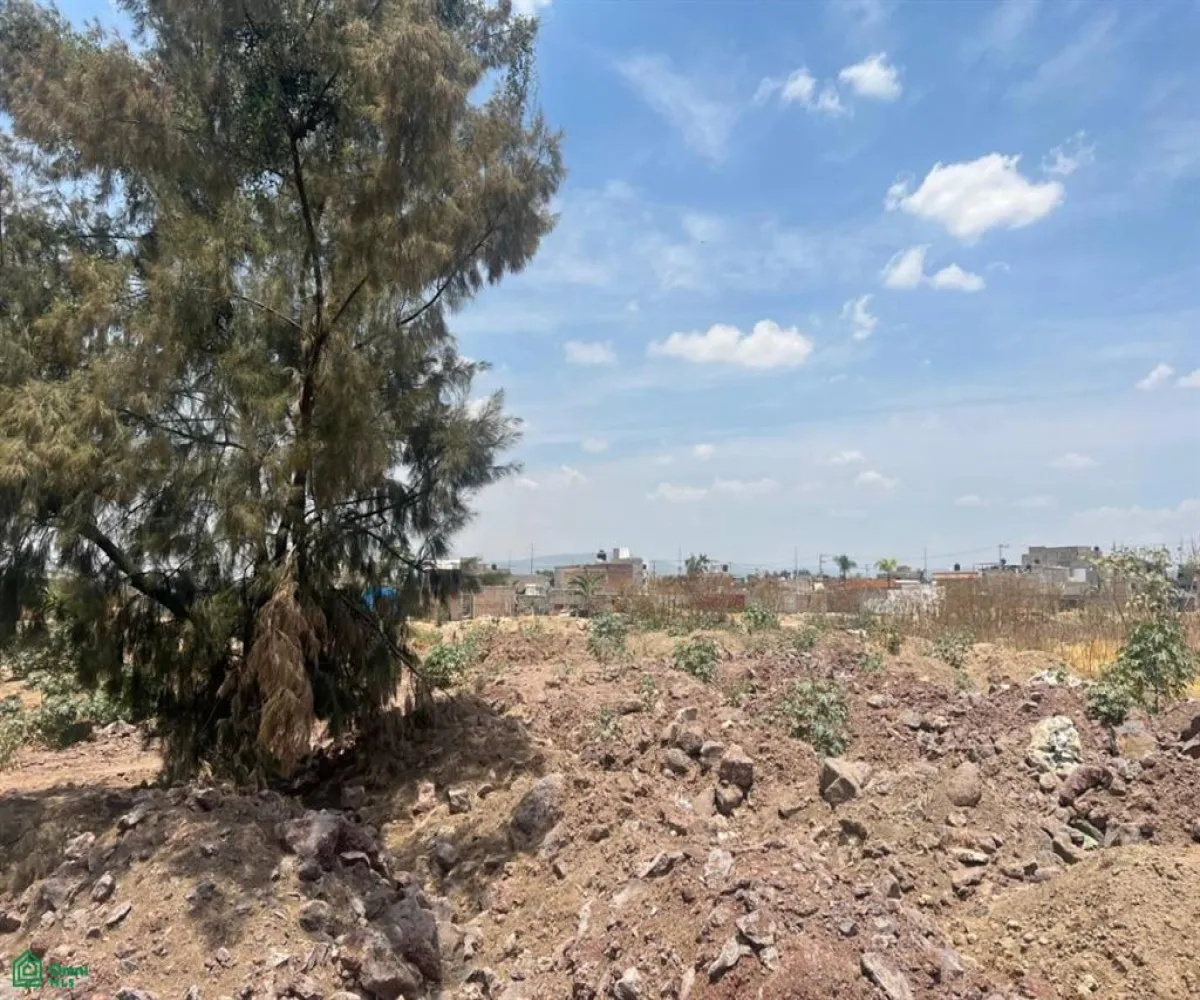 Terreno En Venta,Santa Cruz del Valle,AV. CONCEPCION 5800, Tlajomulco de Zuniga, Jalisco 45655,AV. CONCEPCION,MX25935440