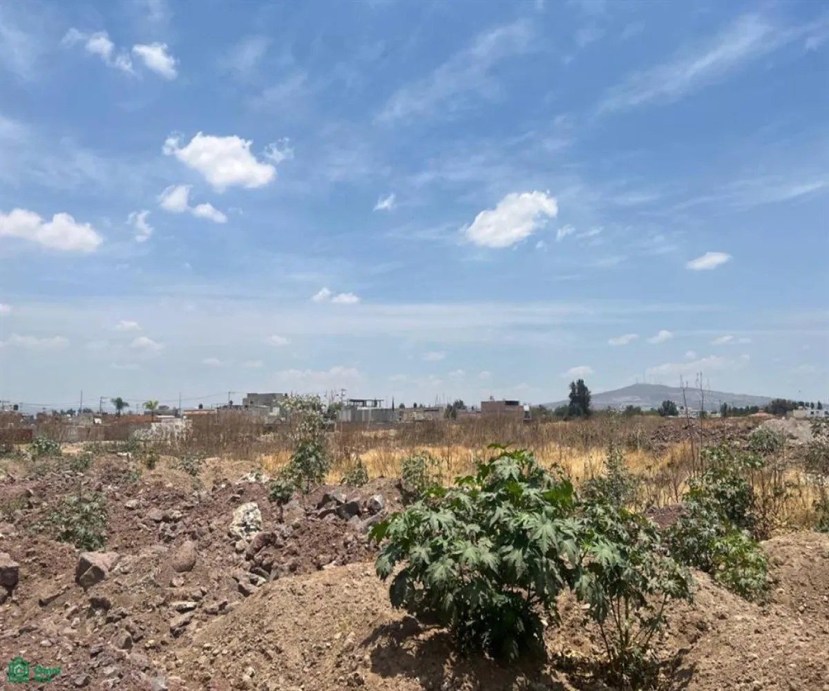 Terreno En Venta,Santa Cruz del Valle,AV. CONCEPCION 5800, Tlajomulco de Zuniga, Jalisco 45655,AV. CONCEPCION,MX25935440