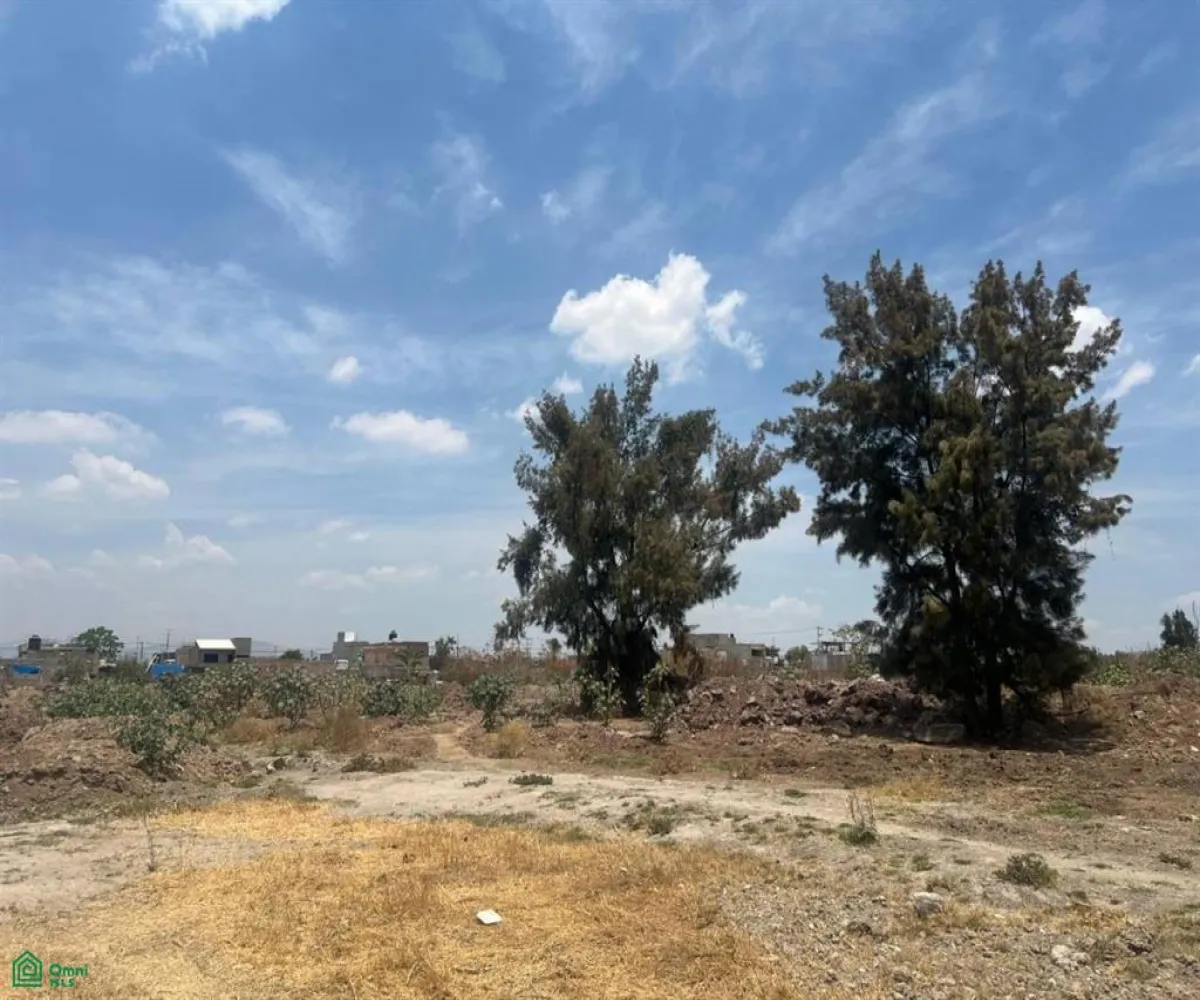 Terreno En Venta,Santa Cruz del Valle,AV. CONCEPCION 5800, Tlajomulco de Zuniga, Jalisco 45655,AV. CONCEPCION,MX25935440