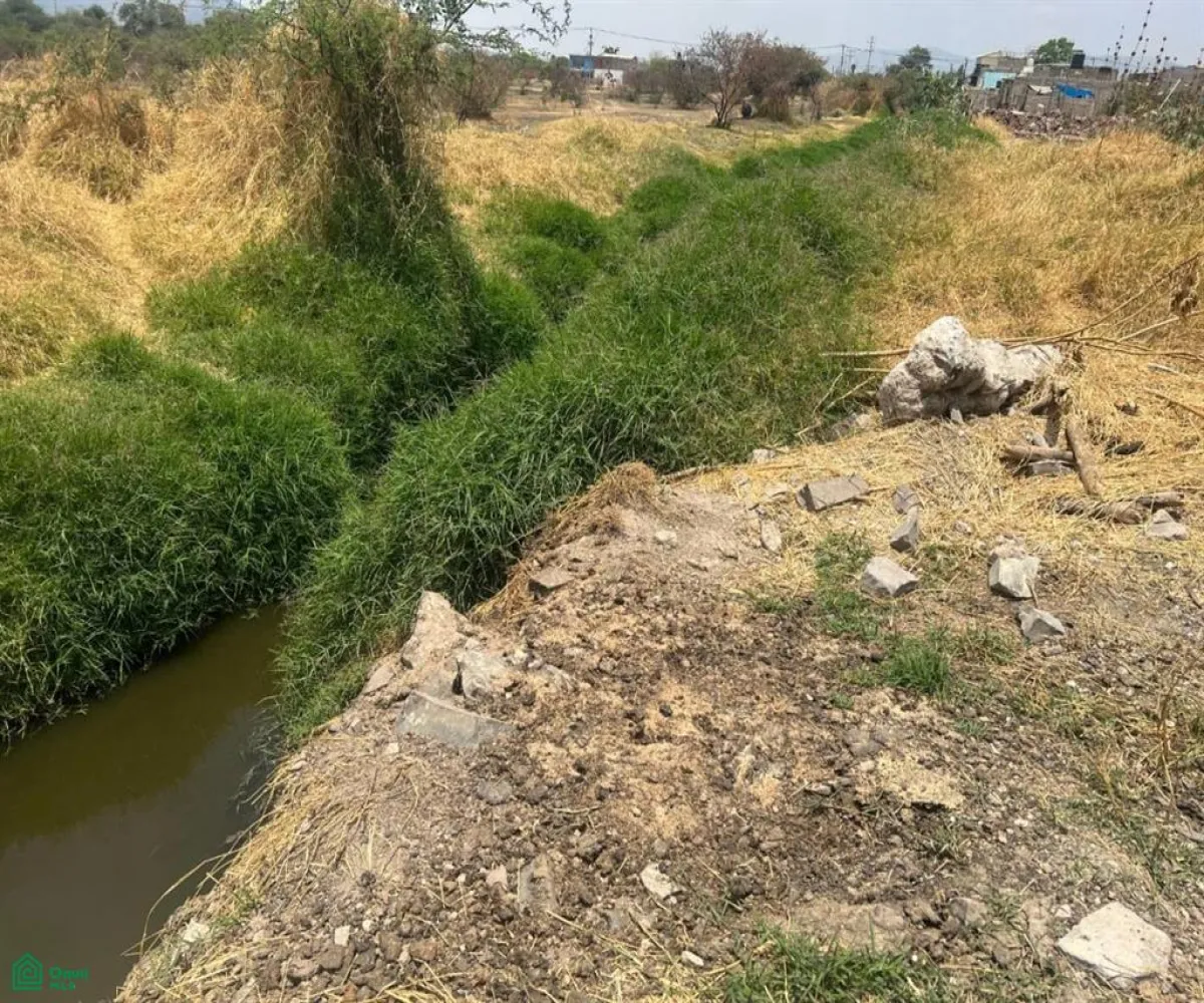 Terreno En Venta,Santa Cruz del Valle,AV. CONCEPCION 5800, Tlajomulco de Zuniga, Jalisco 45655,AV. CONCEPCION,MX25935440