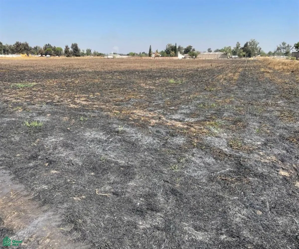 Terreno En Renta,Zapote Del Valle,Predio 287 Z3 P2/2, Tlajomulco de Zuniga, Jalisco 45672,Predio,MX25936105