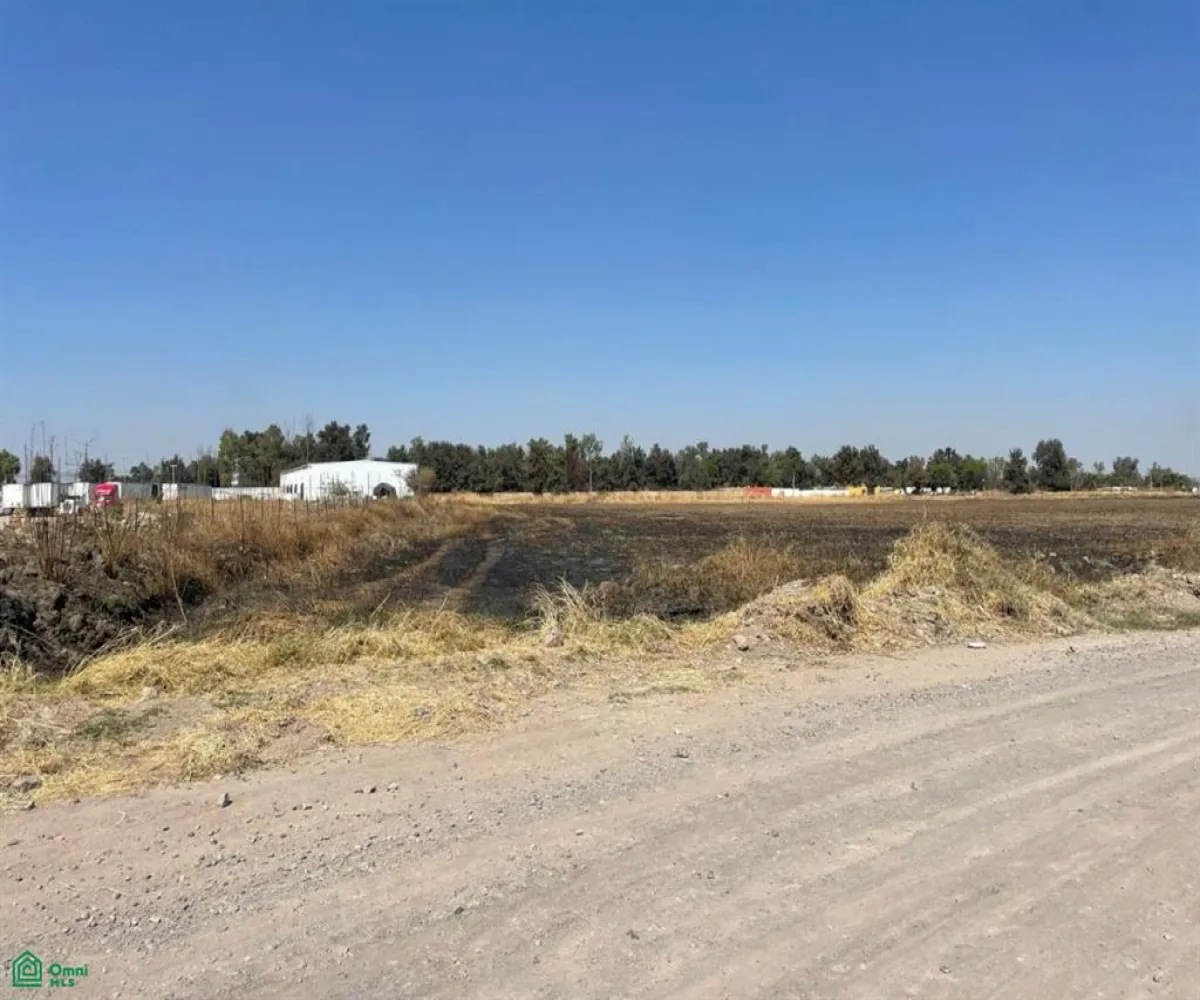 Terreno En Renta,Zapote Del Valle,Predio 287 Z3 P2/2, Tlajomulco de Zuniga, Jalisco 45672,Predio,MX25936105