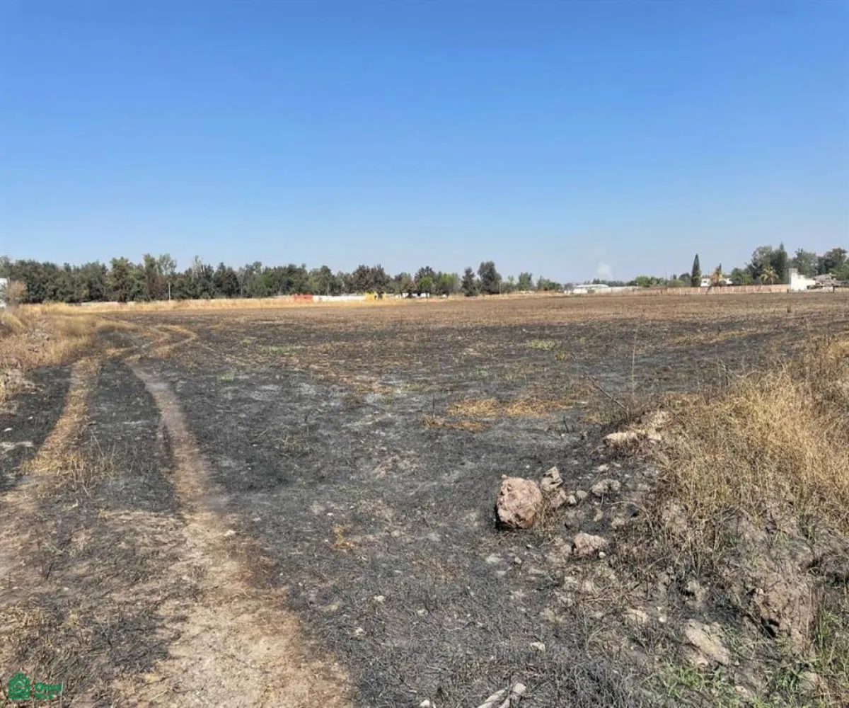 Terreno En Renta,Zapote Del Valle,Predio 287 Z3 P2/2, Tlajomulco de Zuniga, Jalisco 45672,Predio,MX25936105