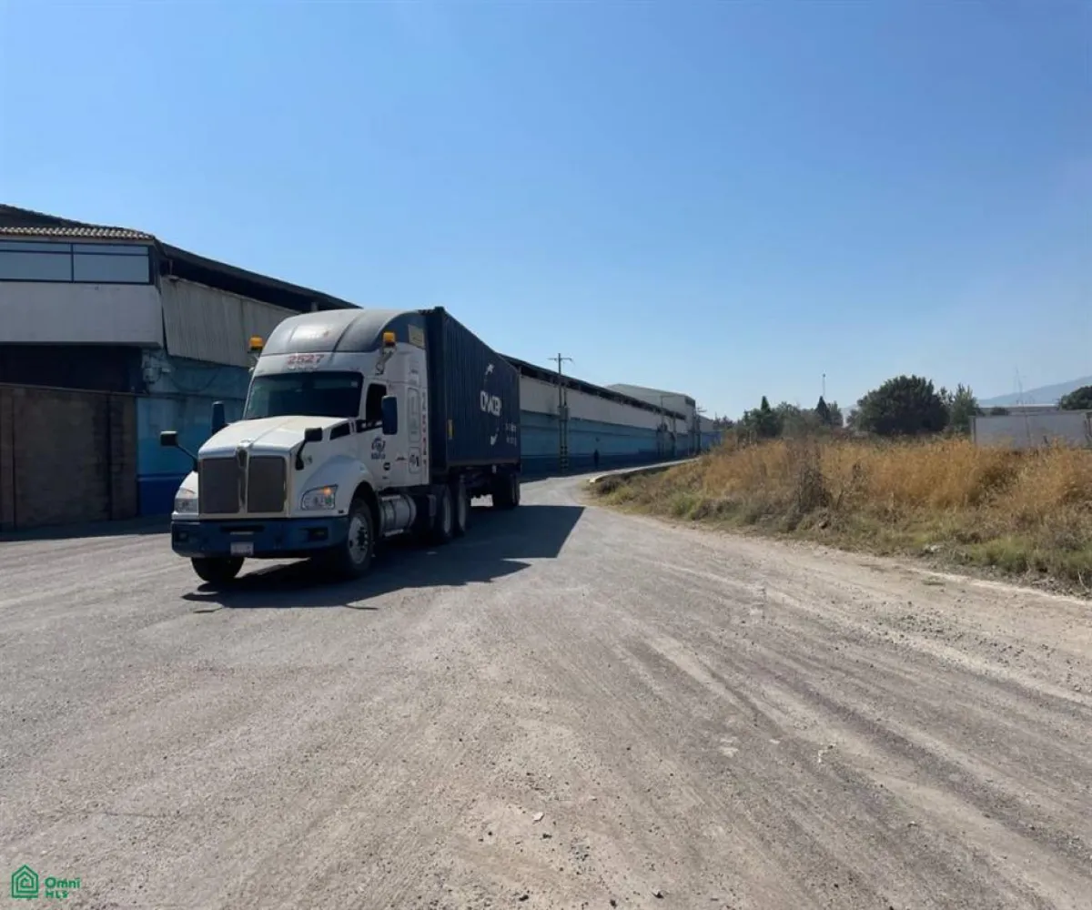 Terreno En Renta,Zapote Del Valle,Predio 287 Z3 P2/2, Tlajomulco de Zuniga, Jalisco 45672,Predio,MX25936105