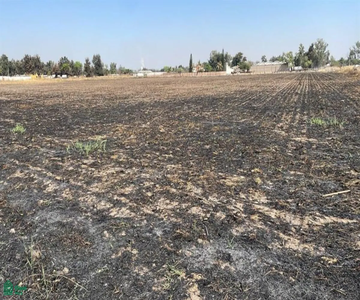Terreno En Renta,Zapote Del Valle,Predio 287 Z3 P2/2, Tlajomulco de Zuniga, Jalisco 45672,Predio,MX25936105
