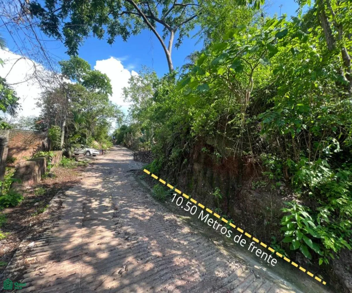 Terreno En Venta,Paso Ancho,Azusenas SN, Puerto Vallarta, Jalisco 48373,Azusenas,MX25966066