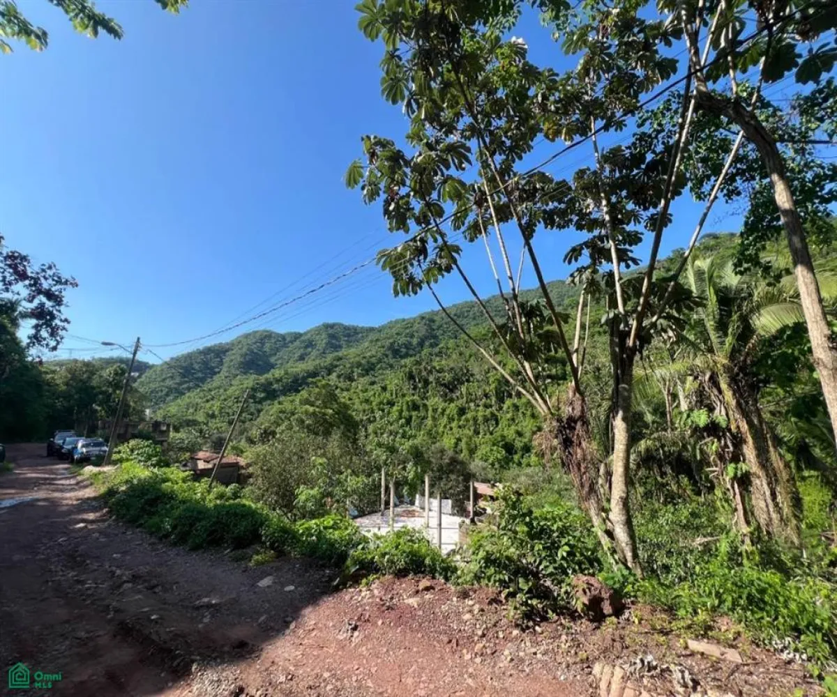 Terreno En Venta,Paso Ancho,Azusenas SN, Puerto Vallarta, Jalisco 48373,Azusenas,MX25966066