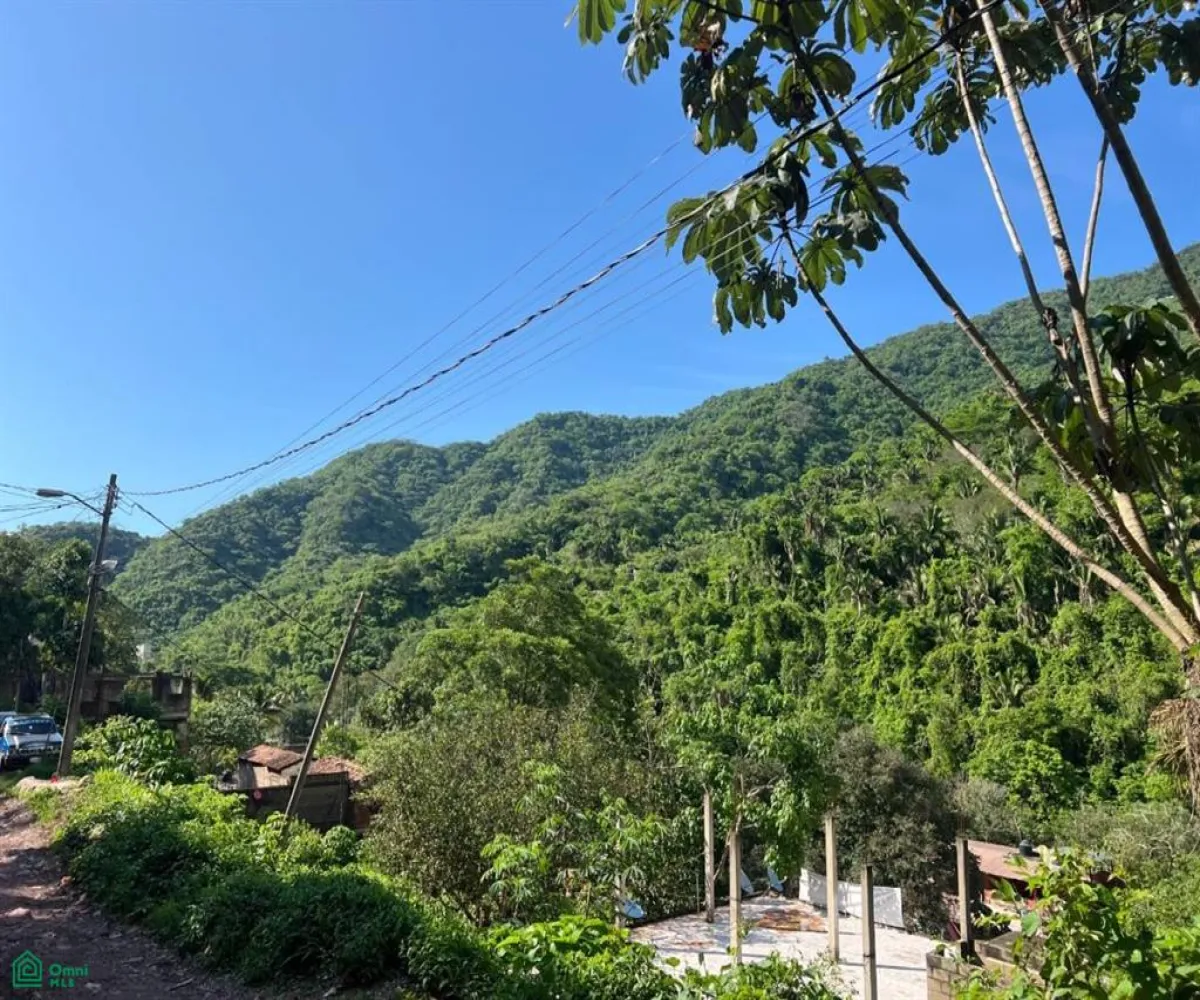 Terreno En Venta,Paso Ancho,Azusenas SN, Puerto Vallarta, Jalisco 48373,Azusenas,MX25966066