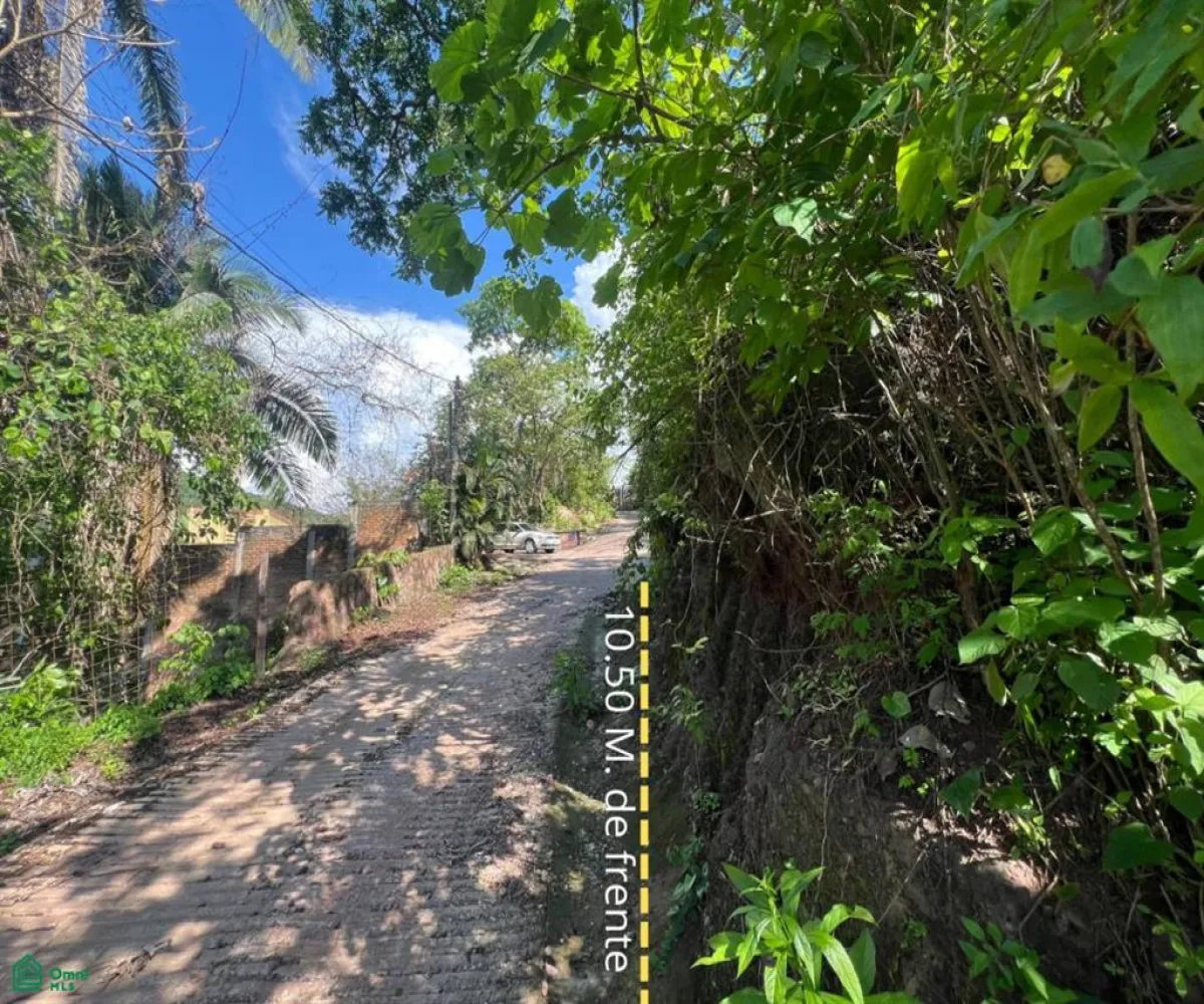 Terreno En Venta,Paso Ancho,Azusenas SN, Puerto Vallarta, Jalisco 48373,Azusenas,MX25966066