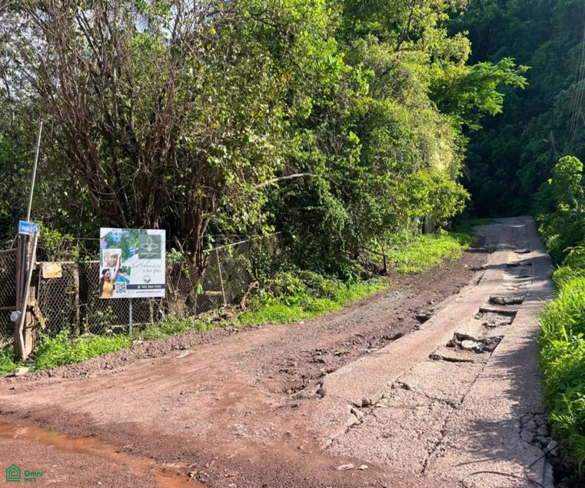 Terreno En Venta,Paso Ancho,Azusenas SN, Puerto Vallarta, Jalisco 48373,Azusenas,MX25966066