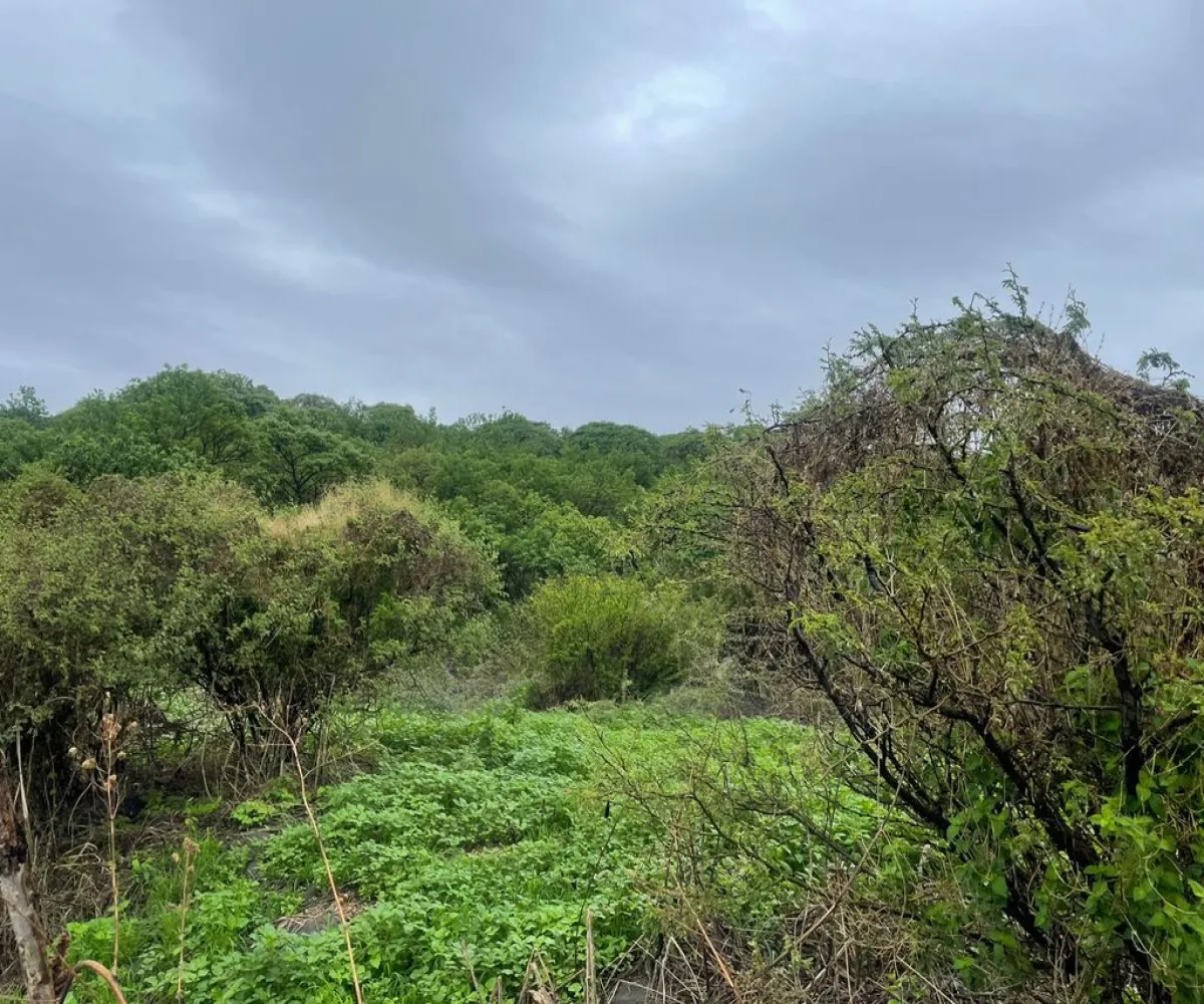 Terreno En Venta,Cajititlán,Fracción B Del Predio La Cantera S/N, Tlajomulco de Zúñiga, Jalisco 45670,Fracción B Del Predio La Cantera,pEWKlKS