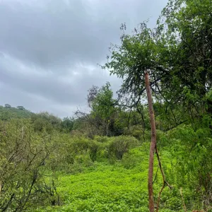 Terreno En Venta,Cajititlán,Fracción B Del Predio La Cantera S/N, Tlajomulco de Zúñiga, Jalisco 45670,Fracción B Del Predio La Cantera,pEWKlKS