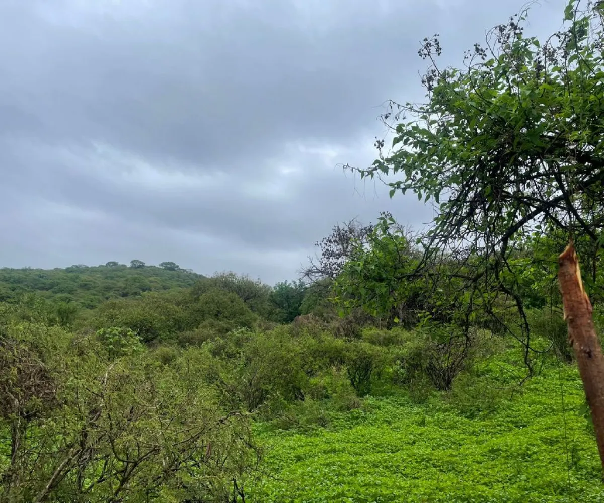 Terreno En Venta,Cajititlán,Fracción B Del Predio La Cantera S/N, Tlajomulco de Zúñiga, Jalisco 45670,Fracción B Del Predio La Cantera,pEWKlKS