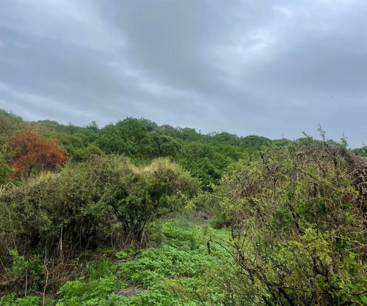 Terreno En Venta,Cajititlán,Fracción B Del Predio La Cantera S/N, Tlajomulco de Zúñiga, Jalisco 45670,Fracción B Del Predio La Cantera,pEWKlKS