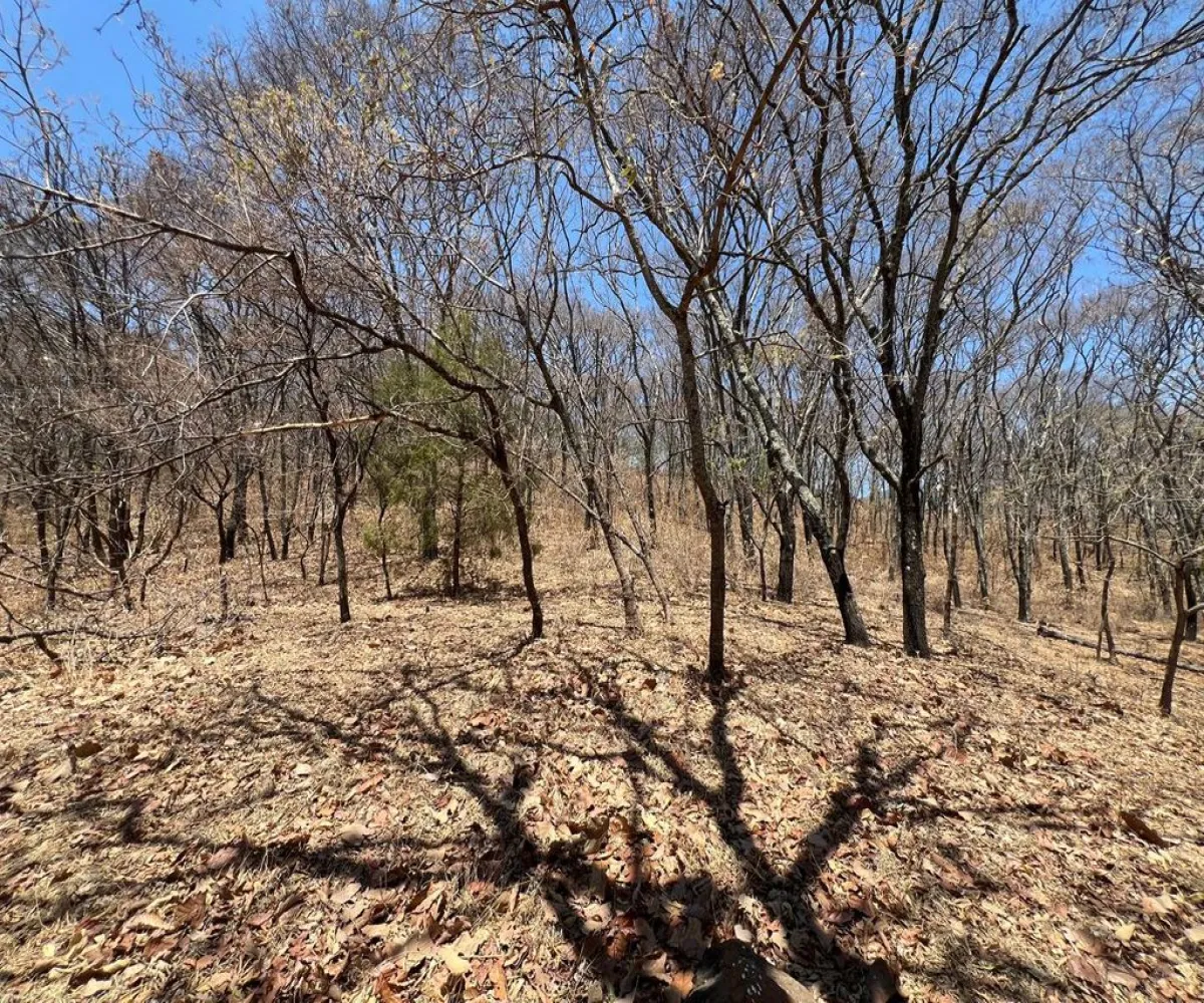 Casa En Venta,RESERVA LOS ENCINOS ,UNIVERSO 23, Teuchitlán, Jalisco 46760, 3 Habitaciones,2 Baños,UNIVERSO,1,pv5Jvp5