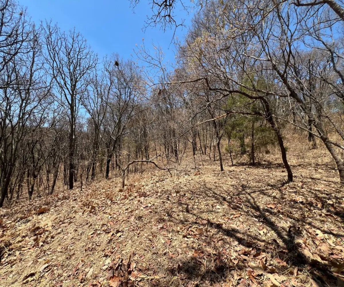 Casa En Venta,RESERVA LOS ENCINOS ,UNIVERSO 23, Teuchitlán, Jalisco 46760, 3 Habitaciones,2 Baños,UNIVERSO,1,pv5Jvp5