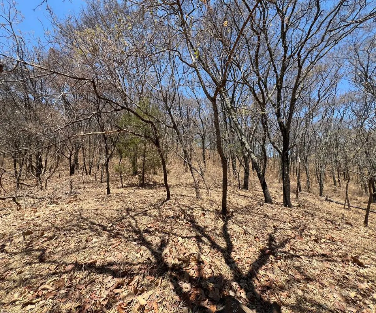 Casa En Venta,RESERVA LOS ENCINOS ,UNIVERSO 23, Teuchitlán, Jalisco 46760, 3 Habitaciones,2 Baños,UNIVERSO,1,pv5Jvp5