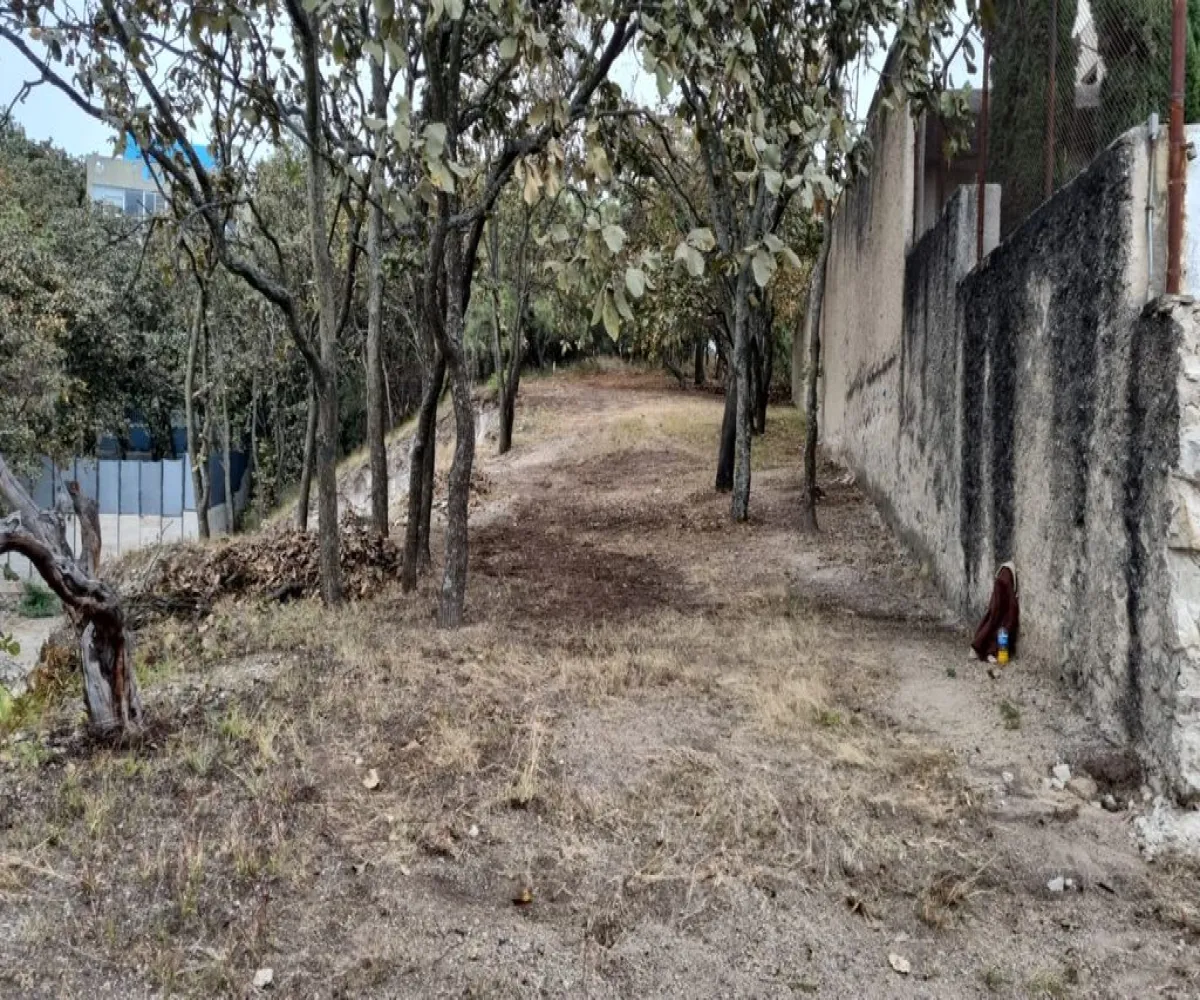 Terreno En Venta,El Palomar,Rinconada del Acueducto 197, Tlajomulco de Zúñiga, Jalisco 45643,Rinconada del Acueducto,pMHwbHn