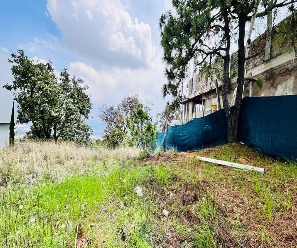 Terreno En Venta,El Palomar,Paseo del Valle 725, Tlajomulco de Zúñiga, Jalisco 45643, Paseo del Valle ,pOgaegw