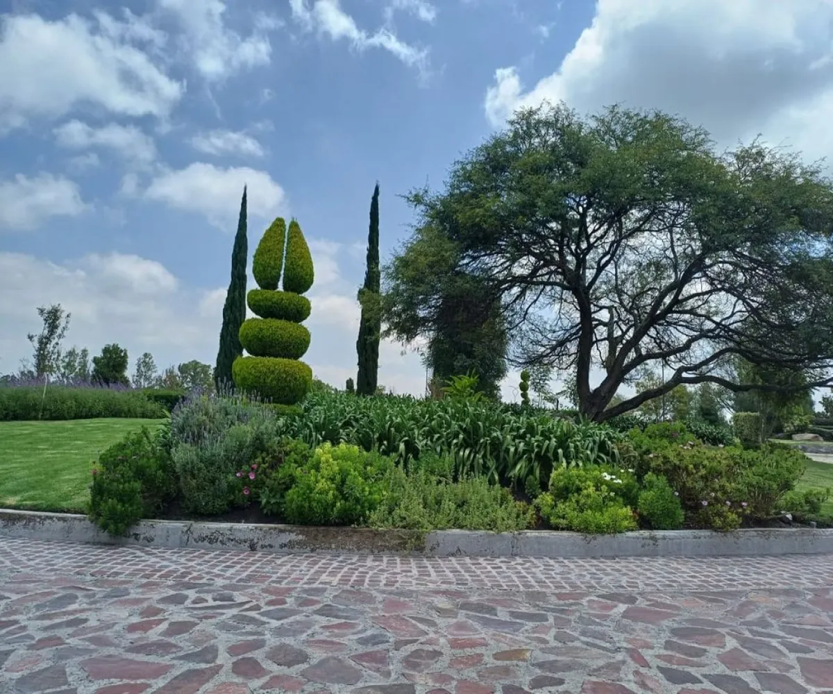 Terreno En Venta,faro de los cisnes,faro de los cisnes 01, Corregidora, Querétaro 76900,faro de los cisnes,pOqwo6I