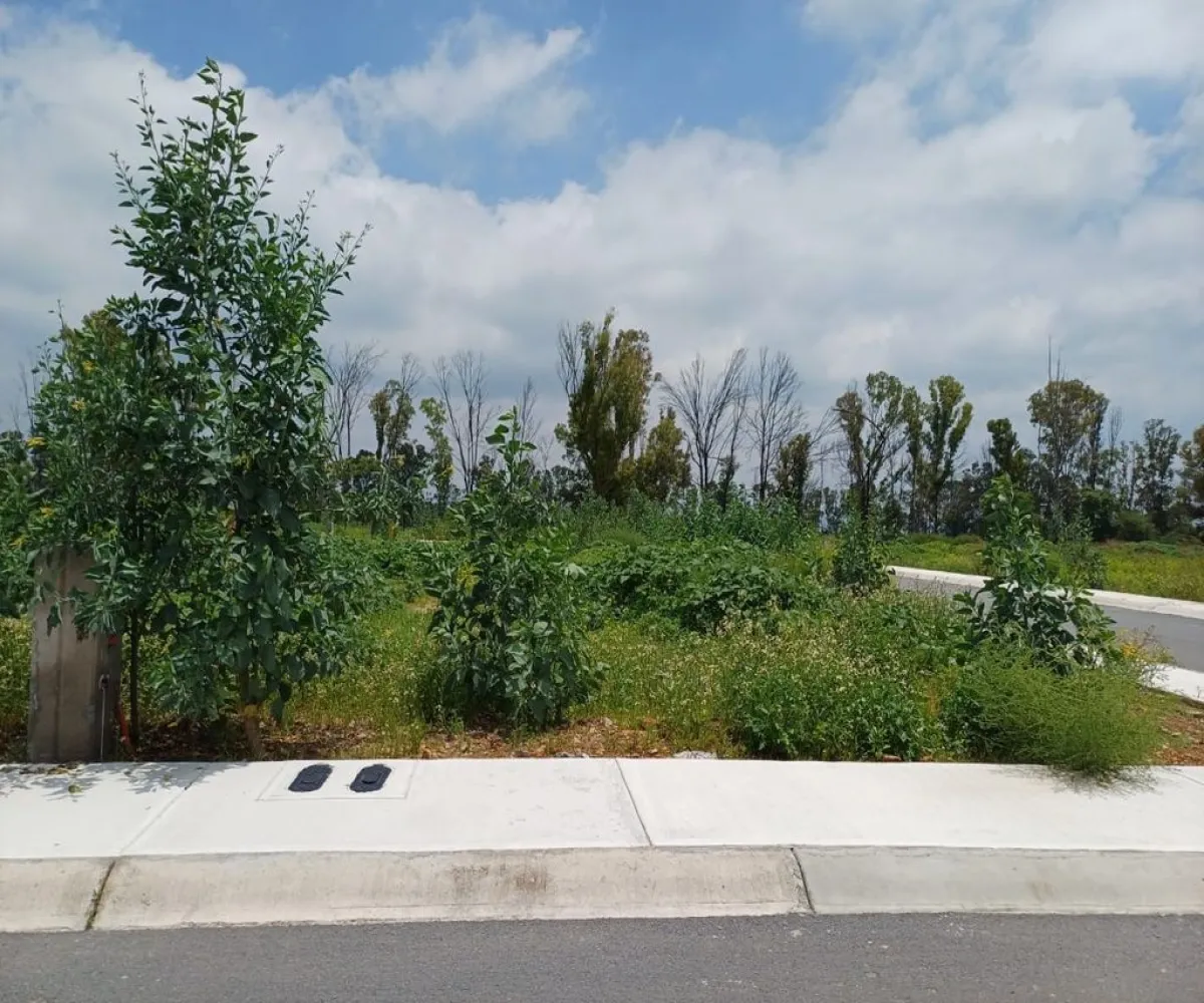 Terreno En Venta,faro de los cisnes,faro de los cisnes 01, Corregidora, Querétaro 76900,faro de los cisnes,pOqwo6I