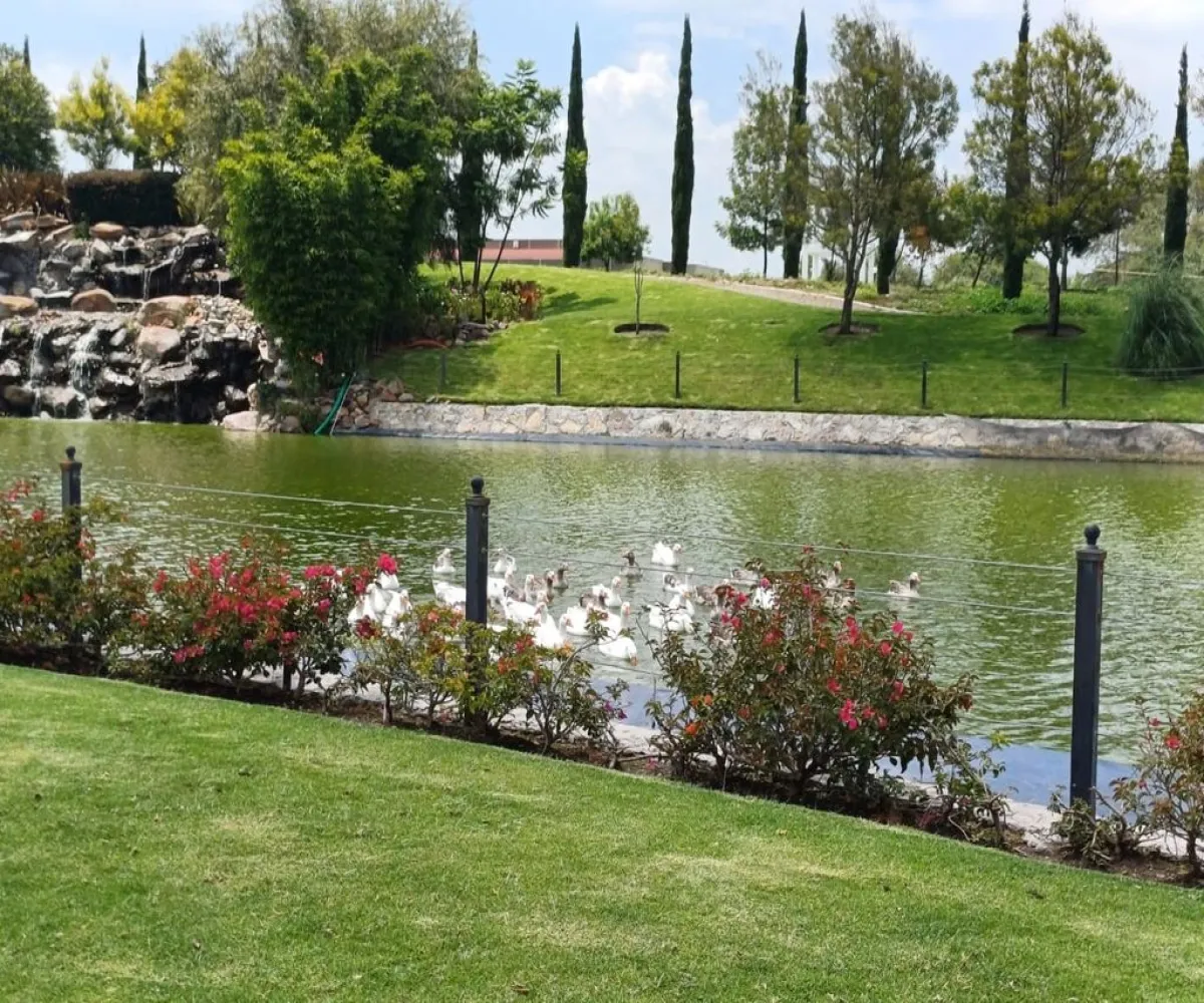 Terreno En Venta,faro de los cisnes,faro de los cisnes 01, Corregidora, Querétaro 76900,faro de los cisnes,pOqwo6I