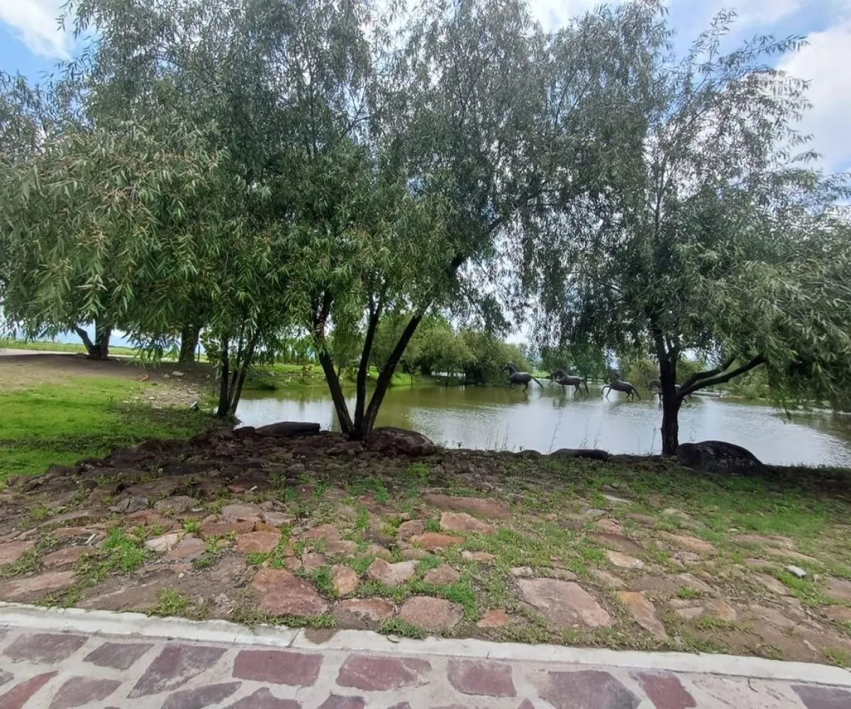 Terreno En Venta,faro de los cisnes,faro de los cisnes 01, Corregidora, Querétaro 76900,faro de los cisnes,pOqwo6I