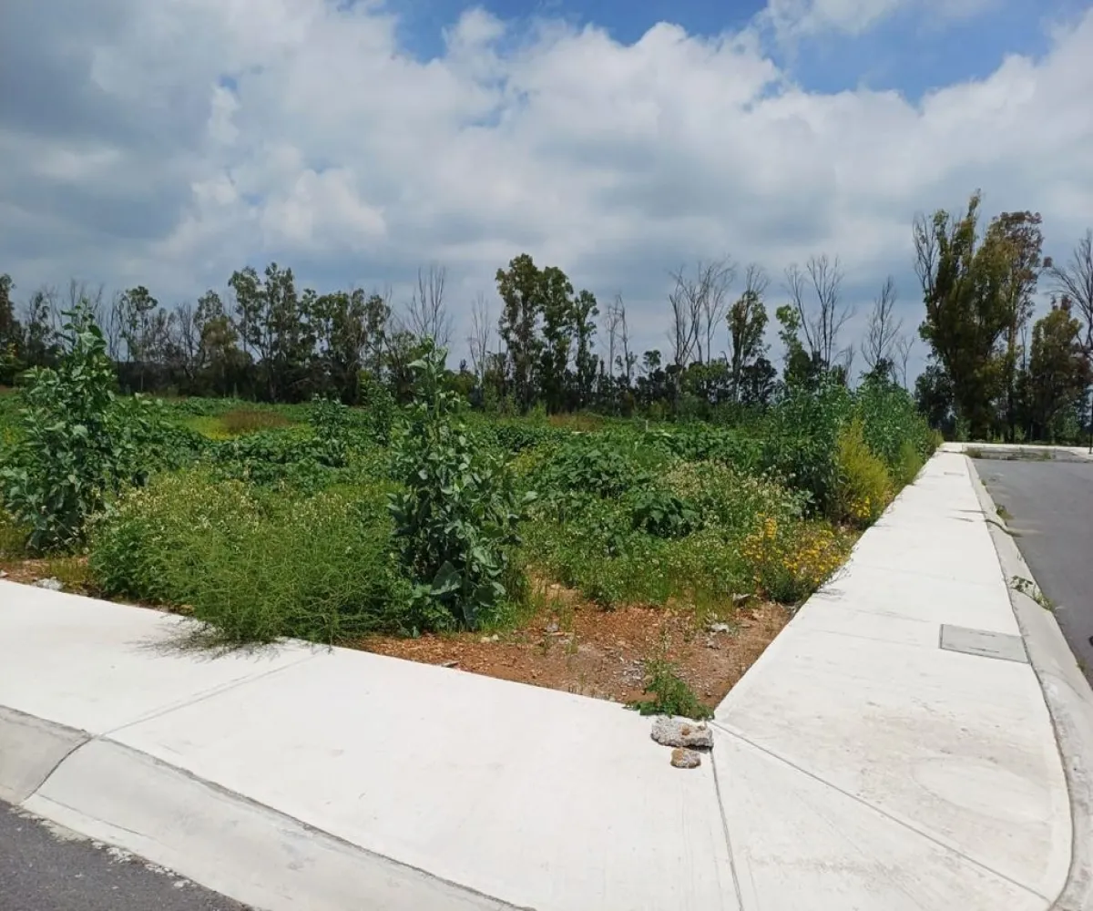 Terreno En Venta,faro de los cisnes,faro de los cisnes 01, Corregidora, Querétaro 76900,faro de los cisnes,pOqwo6I