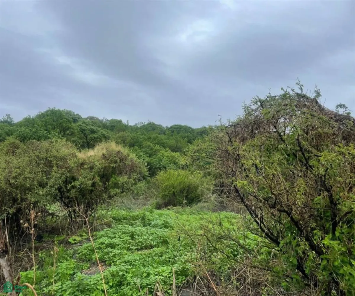 Terreno En Venta,Cajititlán,Sobre Brecha, Fracción B Predio Rustico, La Cant S/N, Tlajomulco de Zuniga, Jalisco 45670,Sobre Brecha, Fracción B Predio Rustico, La Cant,MX25969502