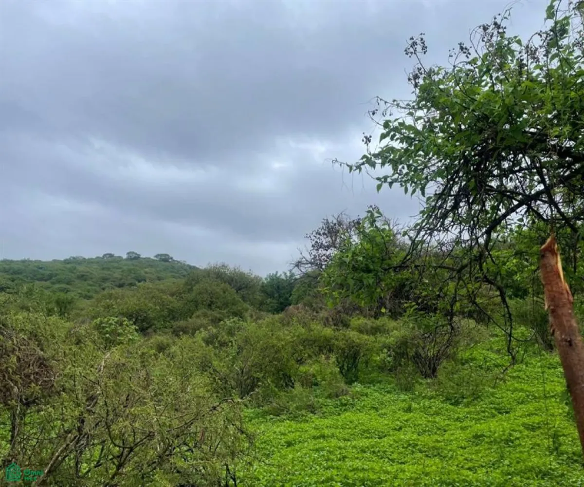 Terreno En Venta,Cajititlán,Sobre Brecha, Fracción B Predio Rustico, La Cant S/N, Tlajomulco de Zuniga, Jalisco 45670,Sobre Brecha, Fracción B Predio Rustico, La Cant,MX25969502