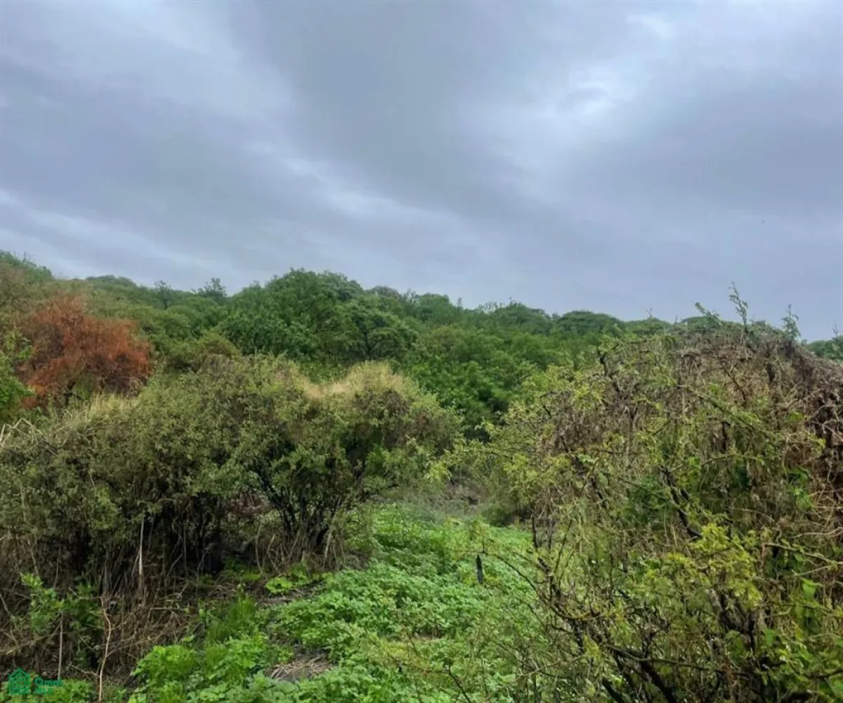 Terreno En Venta,Cajititlán,Sobre Brecha, Fracción B Predio Rustico, La Cant S/N, Tlajomulco de Zuniga, Jalisco 45670,Sobre Brecha, Fracción B Predio Rustico, La Cant,MX25969502