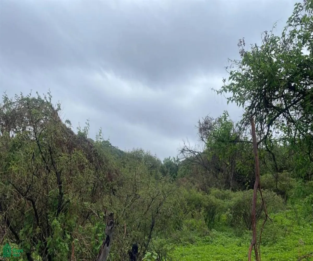 Terreno En Venta,Cajititlán,Sobre Brecha, Fracción B Predio Rustico, La Cant S/N, Tlajomulco de Zuniga, Jalisco 45670,Sobre Brecha, Fracción B Predio Rustico, La Cant,MX25969502