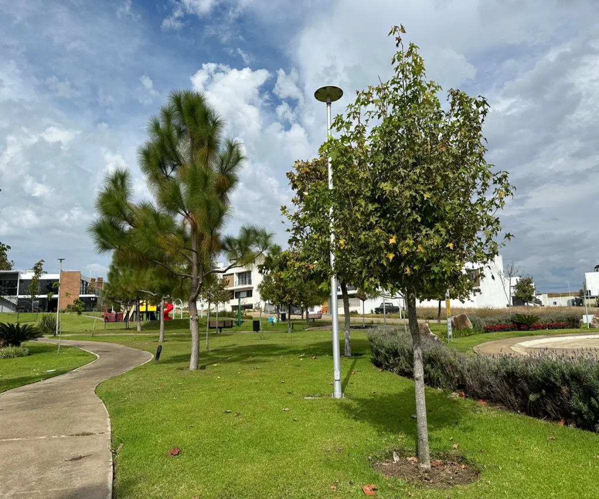 Terreno En Venta,Valle Imperial ,Avenida del Bosque Real 1995 162, Zapopan, Jalisco 45134,Avenida del Bosque Real,pdHE4nm