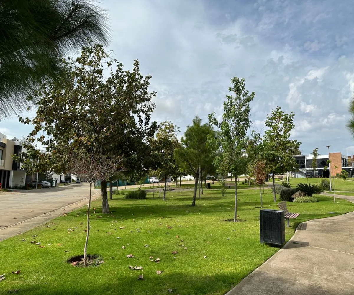 Terreno En Venta,Valle Imperial ,Avenida del Bosque Real 1995 162, Zapopan, Jalisco 45134,Avenida del Bosque Real,pdHE4nm