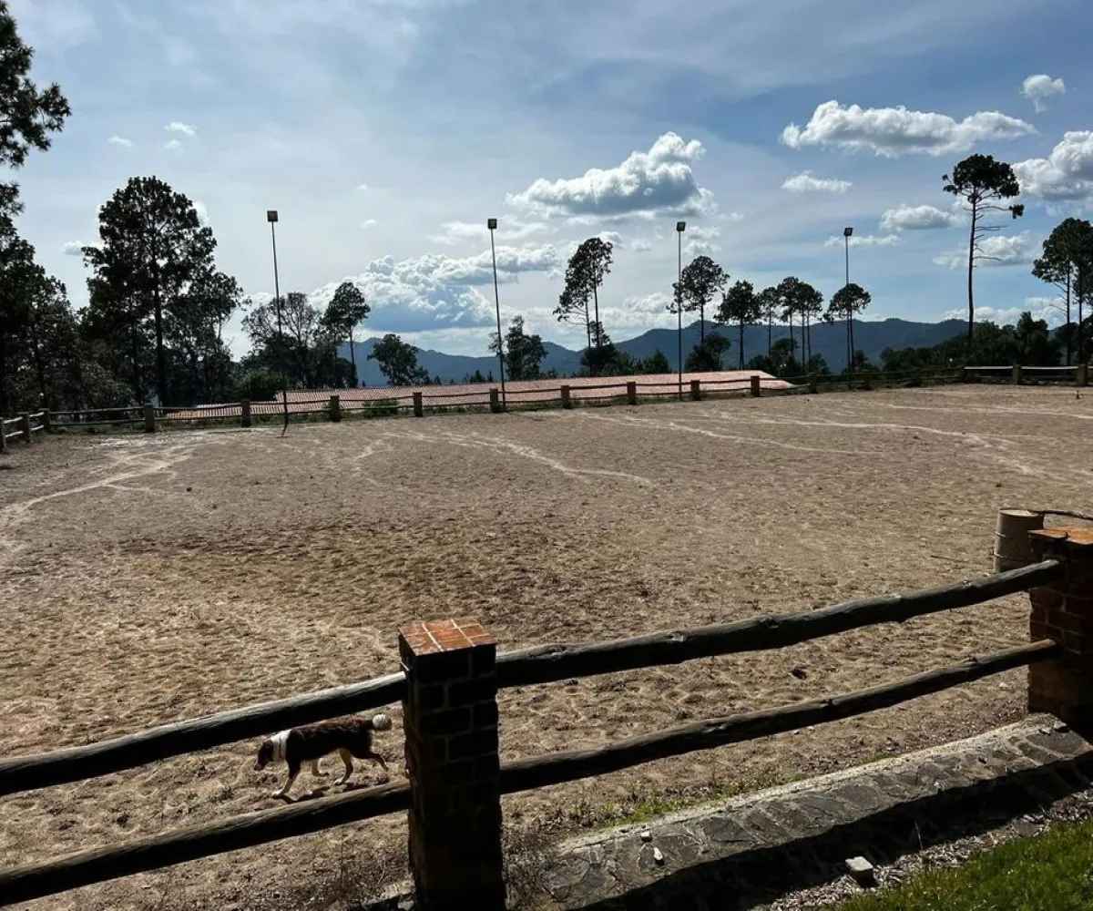 Terreno En Venta,Tapalpa,Fraccionamiento Bosques de La Cañada s/n 9, Tapalpa, Jalisco 49340,Fraccionamiento Bosques de La Cañada,ptS0CxQ