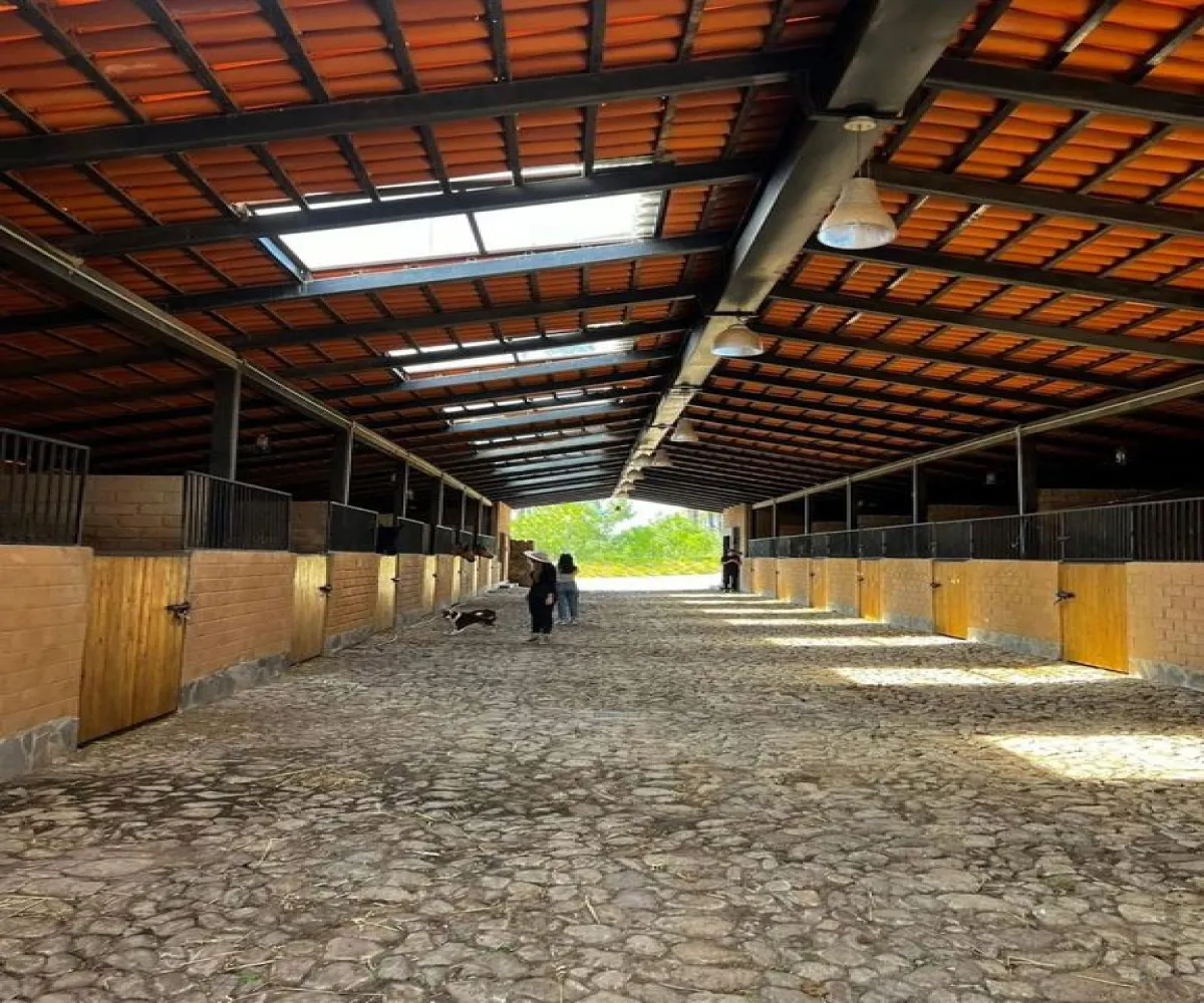 Terreno En Venta,Tapalpa,Fraccionamiento Bosques de La Cañada s/n 9, Tapalpa, Jalisco 49340,Fraccionamiento Bosques de La Cañada,ptS0CxQ