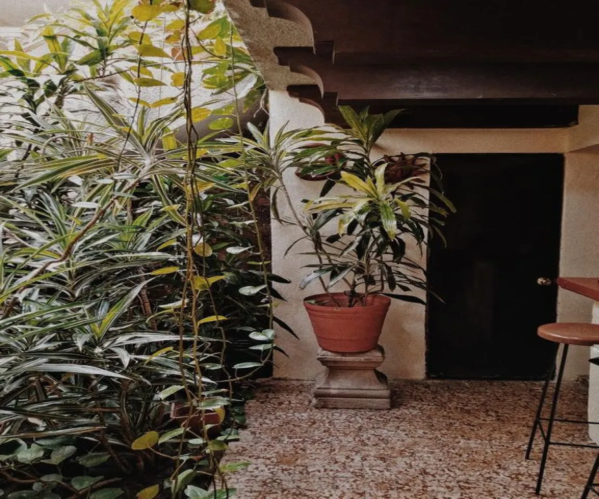 Casa En Venta,Jardines del Bosque,Planeta 2665, Guadalajara, Jalisco 44520, 4 Habitaciones,4 Baños,Planeta,3,pTXTXCH Casa En Venta,Jardines del Bosque,Planeta 2665, Guadalajara, Jalisco 44520, 4 Habitaciones,4 Baños,Planeta,3,pTXTXCH