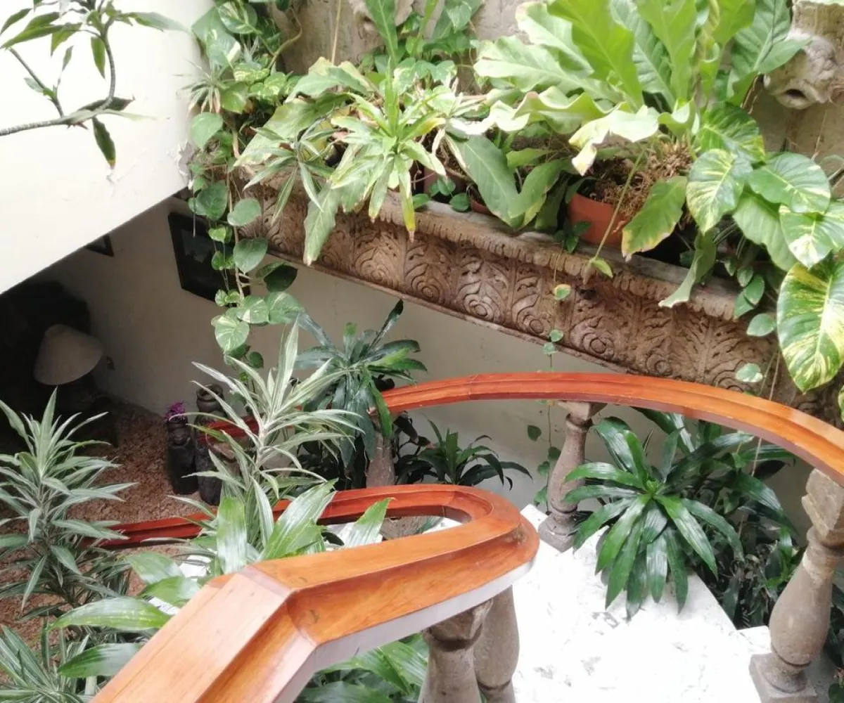 Casa En Venta,Jardines del Bosque,Planeta 2665, Guadalajara, Jalisco 44520, 4 Habitaciones,4 Baños,Planeta,3,pTXTXCH Casa En Venta,Jardines del Bosque,Planeta 2665, Guadalajara, Jalisco 44520, 4 Habitaciones,4 Baños,Planeta,3,pTXTXCH