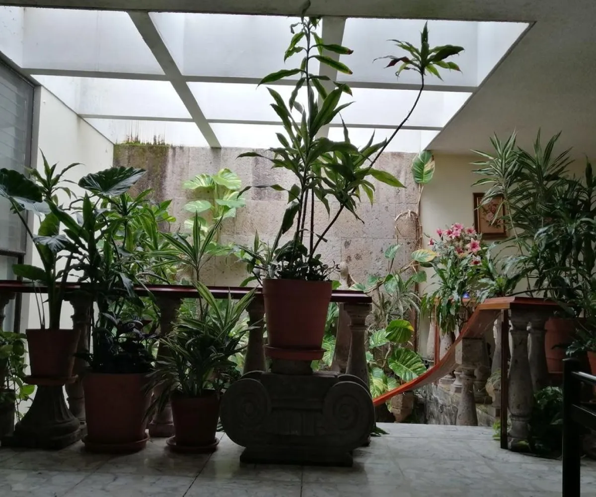 Casa En Venta,Jardines del Bosque,Planeta 2665, Guadalajara, Jalisco 44520, 4 Habitaciones,4 Baños,Planeta,3,pTXTXCH Casa En Venta,Jardines del Bosque,Planeta 2665, Guadalajara, Jalisco 44520, 4 Habitaciones,4 Baños,Planeta,3,pTXTXCH