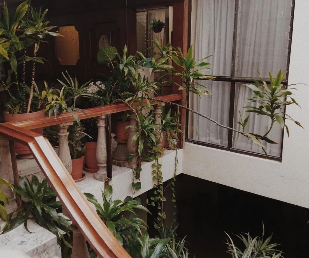 Casa En Venta,Jardines del Bosque,Planeta 2665, Guadalajara, Jalisco 44520, 4 Habitaciones,4 Baños,Planeta,3,pTXTXCH Casa En Venta,Jardines del Bosque,Planeta 2665, Guadalajara, Jalisco 44520, 4 Habitaciones,4 Baños,Planeta,3,pTXTXCH